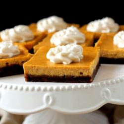 Gingersnap Pumpkin Cheesecake Bars - Recipe photo by bakerita