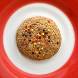 Sugar Cookies - Recipe photo by WiCProject