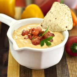 "Vegveeta" Dip - Recipe photo by DreenaBurton