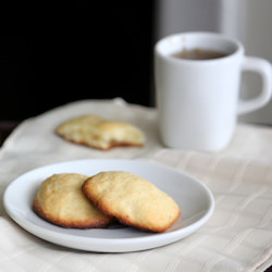 Ricotta Cookies - Recipe photo by torviewtoronto