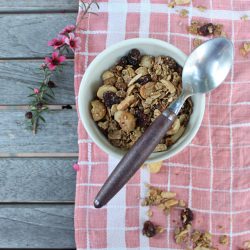 Crunchy Coconut Granola - Recipe photo by chowvida