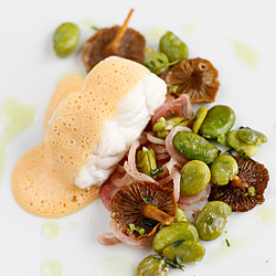 Loup de Mer with Chorizo Sauce - Recipe photo by chriesi