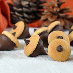 Chocolate Acorns - Recipe photo by bellyfull