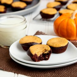 Pumpkin Cheesecake Brownie Bites - Recipe photo by snixykitchen