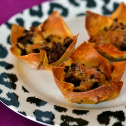 Taco Bites - Recipe photo by supperforasteal