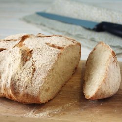 White Bread with Yogurt Poolish - Recipe photo by courecoulants