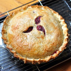Spiced Apple Cranberry Pie - Recipe photo by forbiddenrice