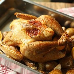 Lemon Thyme Roast Chicken - Recipe photo by josim