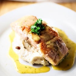 Porcini Dusted Salmon w/ Sauce Colb - Recipe photo by mtlabor