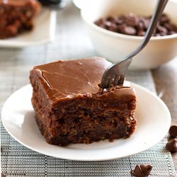 World's Best Chocolate Oatmeal Cake - Recipe photo by pinchofyum