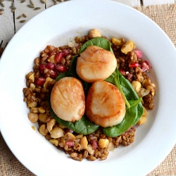 Scallop Salad - Recipe photo by claireg