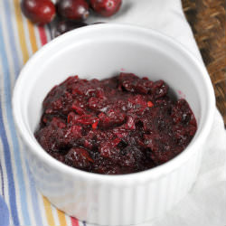 Fresh and Dried Cranberry Salsa - Recipe photo by allfourburners