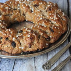 Quick Spice Cake - Recipe photo by cookiecrumble
