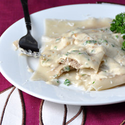 Turkey and Cranberry Ravoili - Recipe photo by maeghan21