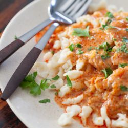 Hungarian Pork Stew - Recipe photo by TheWateringMouth