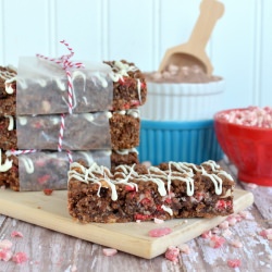 Peppermint Hot Chocolate Bars - Recipe photo by BruCrewLife