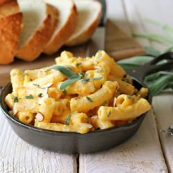 Roasted Butternut Squash Pasta - Recipe photo by damndelicious