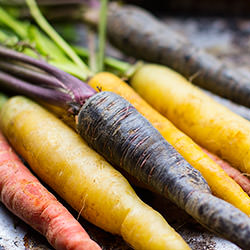 Rainbow Carrot Gratin - Recipe photo by thetomatotart
