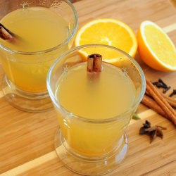 Mulled Hot Apple Cider - Recipe photo by lemonsavory