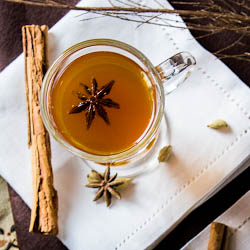 Hot Toddy! - Recipe photo by Indiaphile.info