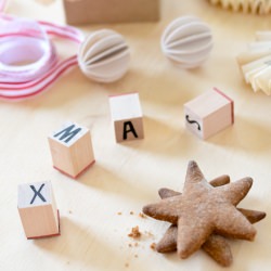 Rye Gingerbread Cookies - Recipe photo by ScandiFoodie
