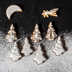 Christmas Gingerbread Cookies - Recipe photo by slovak.roots