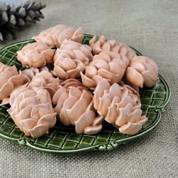 Pine Cone Meringues - Recipe photo by Hanielas