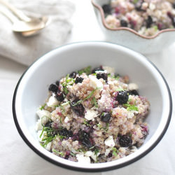 Quinoa Blueberry Salad - Recipe photo by freddye