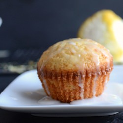 Light Lemon Eggnog Cupcakes - Recipe photo by claireg