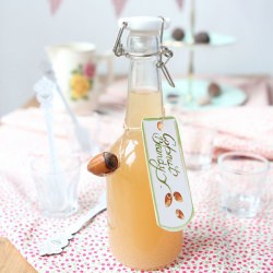 Hazelnut brandy - Recipe photo by Regula Ysewijn Foodwise