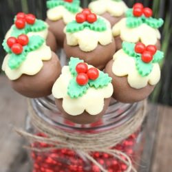 Christmas Pudding Pops - Recipe photo by eatsweetbycarlasue