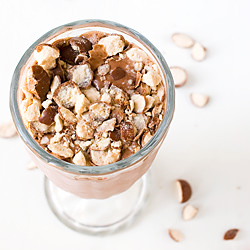 Boozy Malted Chocolate Milkshake - Recipe photo by Savory Simple