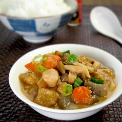 Japanese Chicken Vegetable Stew - Recipe photo by misspickledplum
