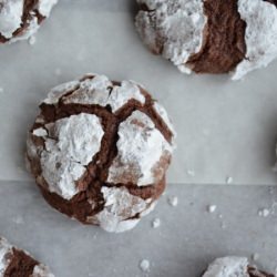 Chocolate Espresso Snowcaps - Recipe photo by trialsinfood