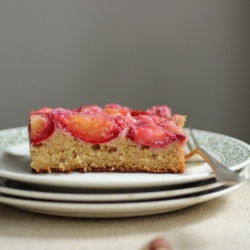 Plum Hazelnut Yogurt Cake - Recipe photo by vintagekitchen