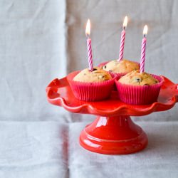 Pannetone Muffins - Recipe photo by knittybaker