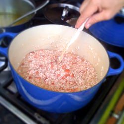 Strawberry Risotto - Recipe photo by Alessandra Zecchini
