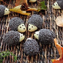 Hedgehog Cookies - Recipe photo by tortelina