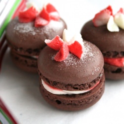 Chocolate Peppermint French Macaron - Recipe photo by tunenfork