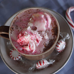 Creamy Peppermint Hot Chocolate - Recipe photo by momsreview4you