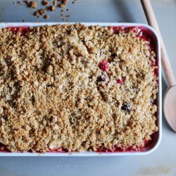 Apple Cranberry Crisp - Recipe photo by tartletsweets