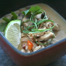 Thai Coconut Chicken Soup - Recipe photo by tunenfork