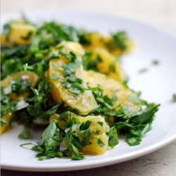 Parsley and Orange Salad - Recipe photo by brooklynsupper