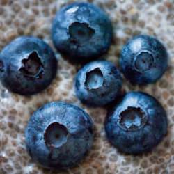 Chia Seed Pudding - Recipe photo by feliciamk91