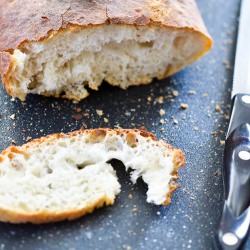 Ciabatta - Recipe photo by knittybaker