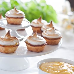 Lemon Meringue Tart - Recipe photo by Suzanneper