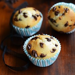 Chocolate Chip Muffins - Recipe photo by Raks Kitchen