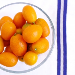Black Pepper Kumquat Margarita - Recipe photo by limn and lovely