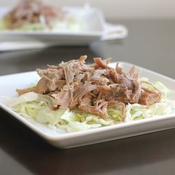 Kalua Pig - Recipe photo by theluckypennyblog
