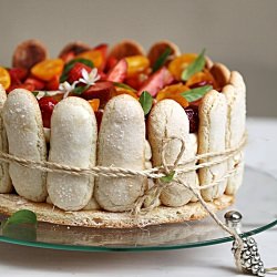 Kumquat Strawberry Tiramisu Charlot - Recipe photo by vindee